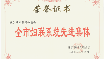 喜報！興業(yè)集團婦委會榮獲“全市婦聯(lián)系統(tǒng)先進集體”榮譽稱號