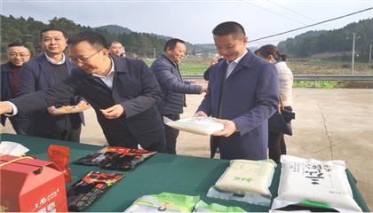 市委常委、政法委書記劉波濤帶隊調(diào)研指導定點幫扶村鄉(xiāng)村振興工作